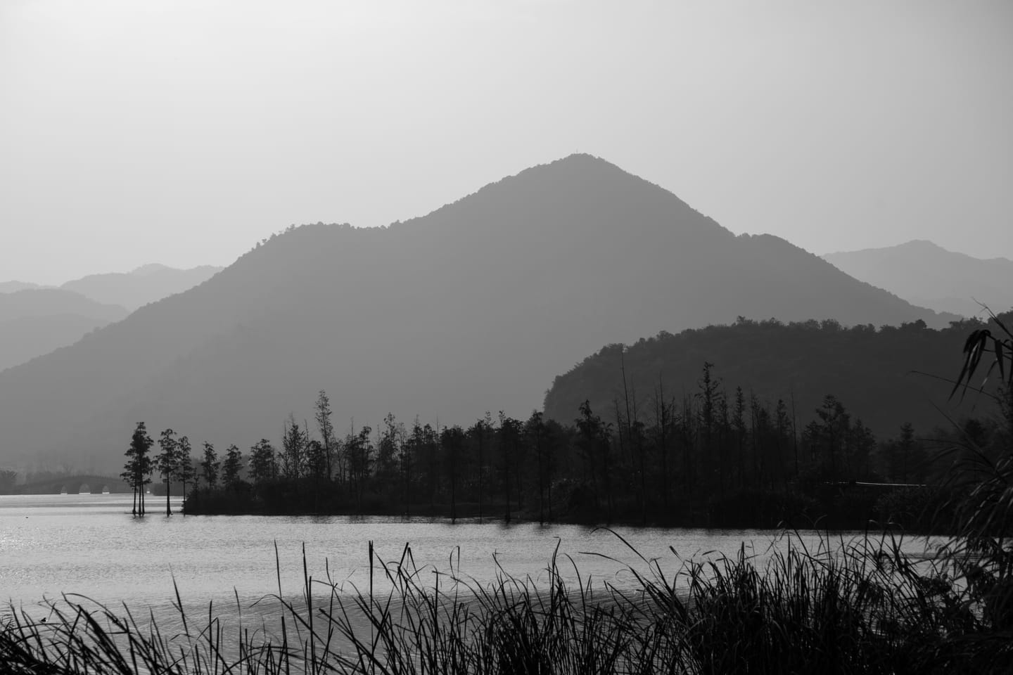 逆光下的湖面、山峦与树林