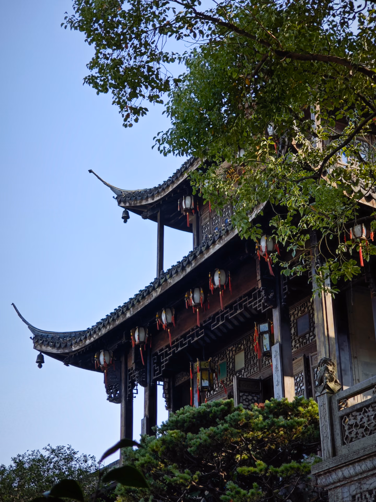 仰望江南古建的翘角飞檐与红灯笼