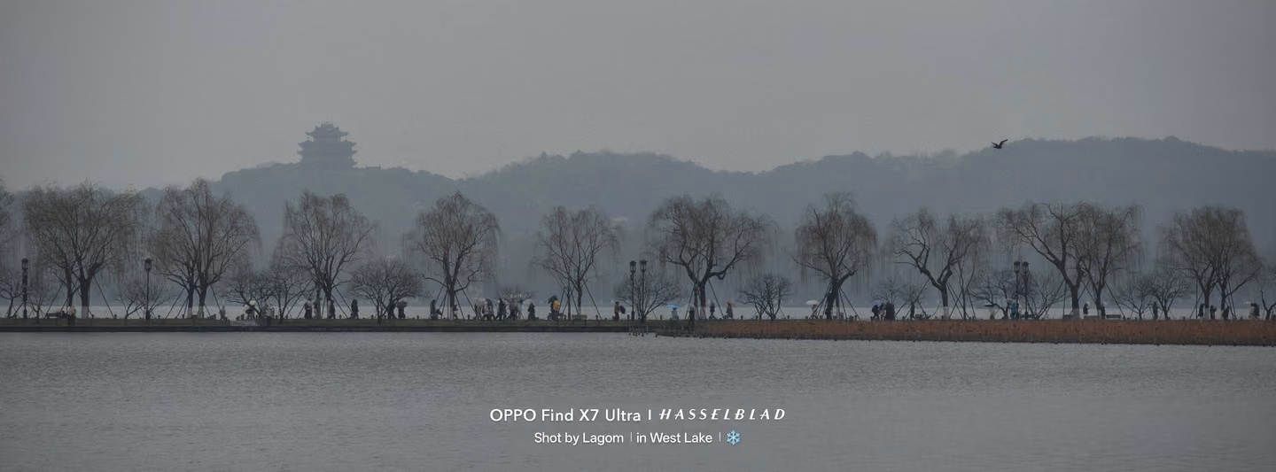 宽幅湖景，长堤上排列着柳树，远处雾中山峦有一座塔状建筑，一只鸟飞过